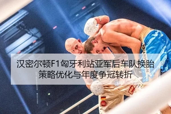 汉密尔顿F1匈牙利站亚军后车队换胎策略优化与年度争冠转折