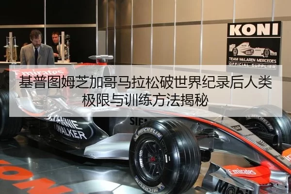 ji-pu-tu-mu-zhi-jia-ge-ma-la-song-po-shi-jie-ji-lu-hou-ren-lei-ji-xian-yu-xun-lian-fang-fa-jie-mi-3-679.jpg